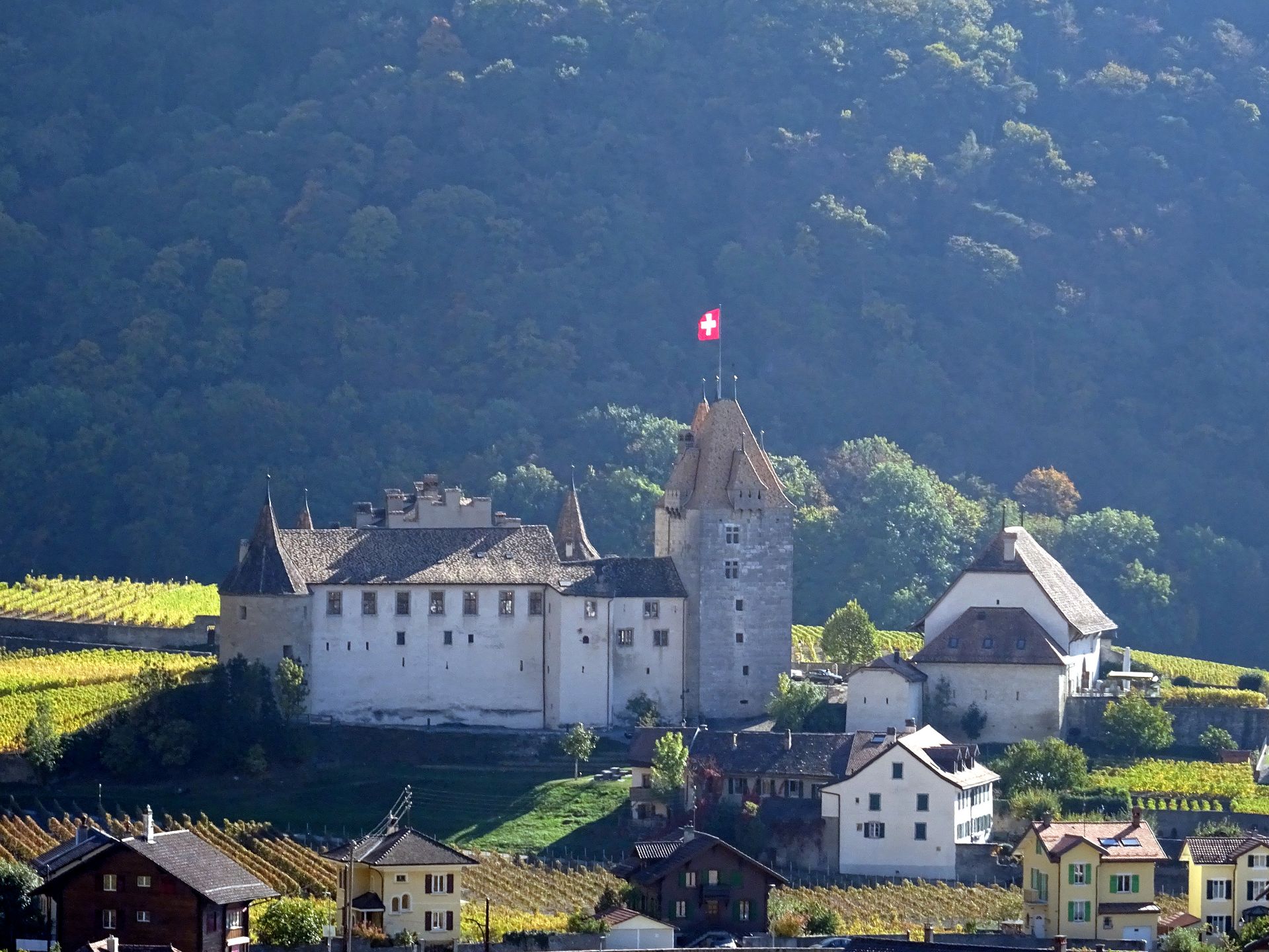 Château d'Aigle